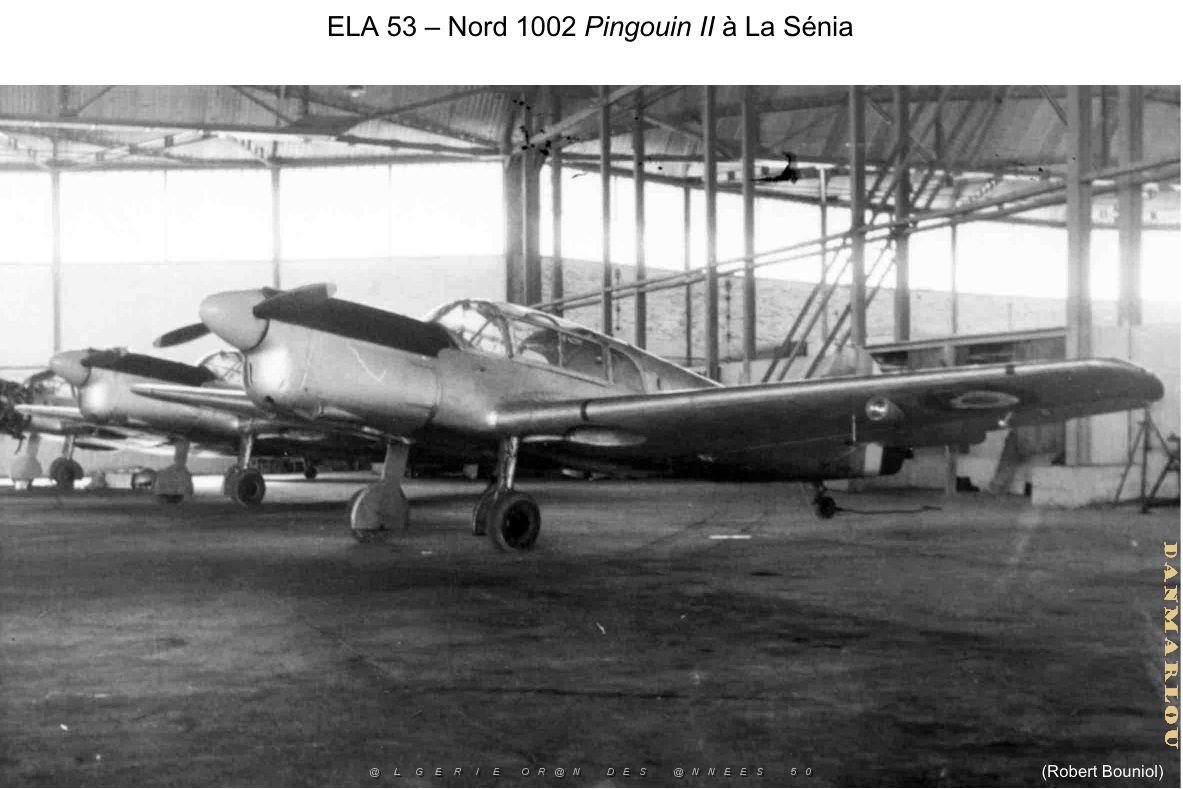 174- ARMEE DE L'AIR EN ALGERIE 1945-1962-22 (7).jpg